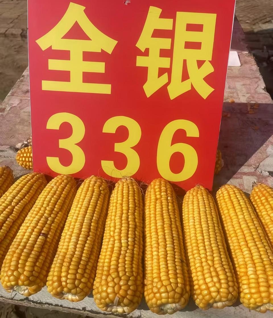 大田.jpg