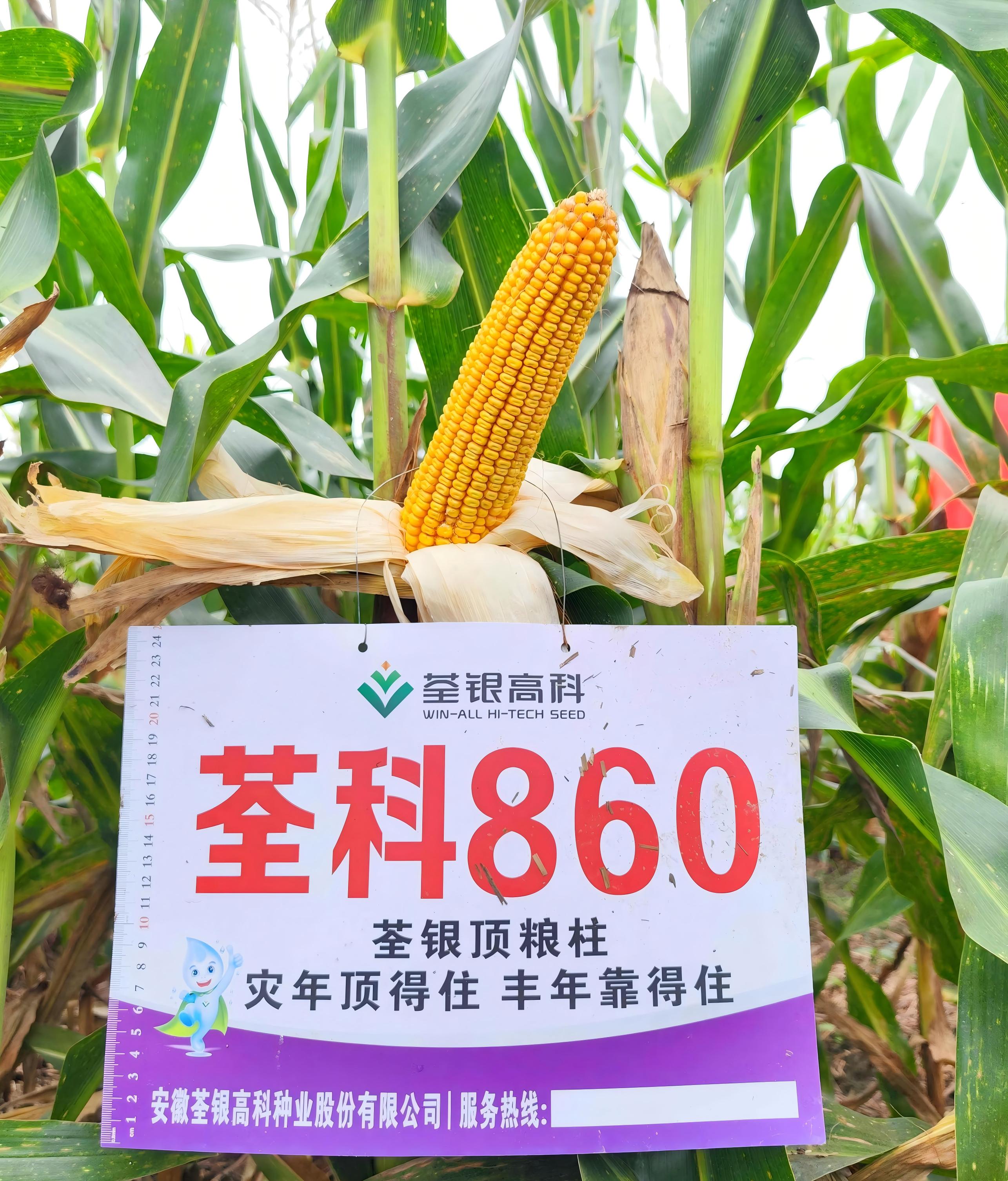 荃科860.jpg
